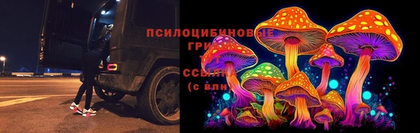 2c-b Беломорск