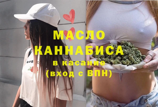 гидра Бронницы
